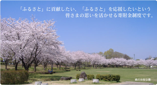 ふるさとづくり寄附金（ふるさと納税）