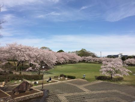 公園維持管理事業