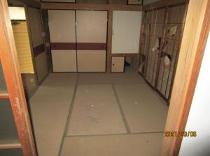 狸穴3