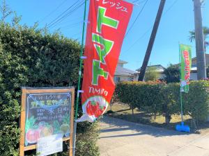 サンプル画像1