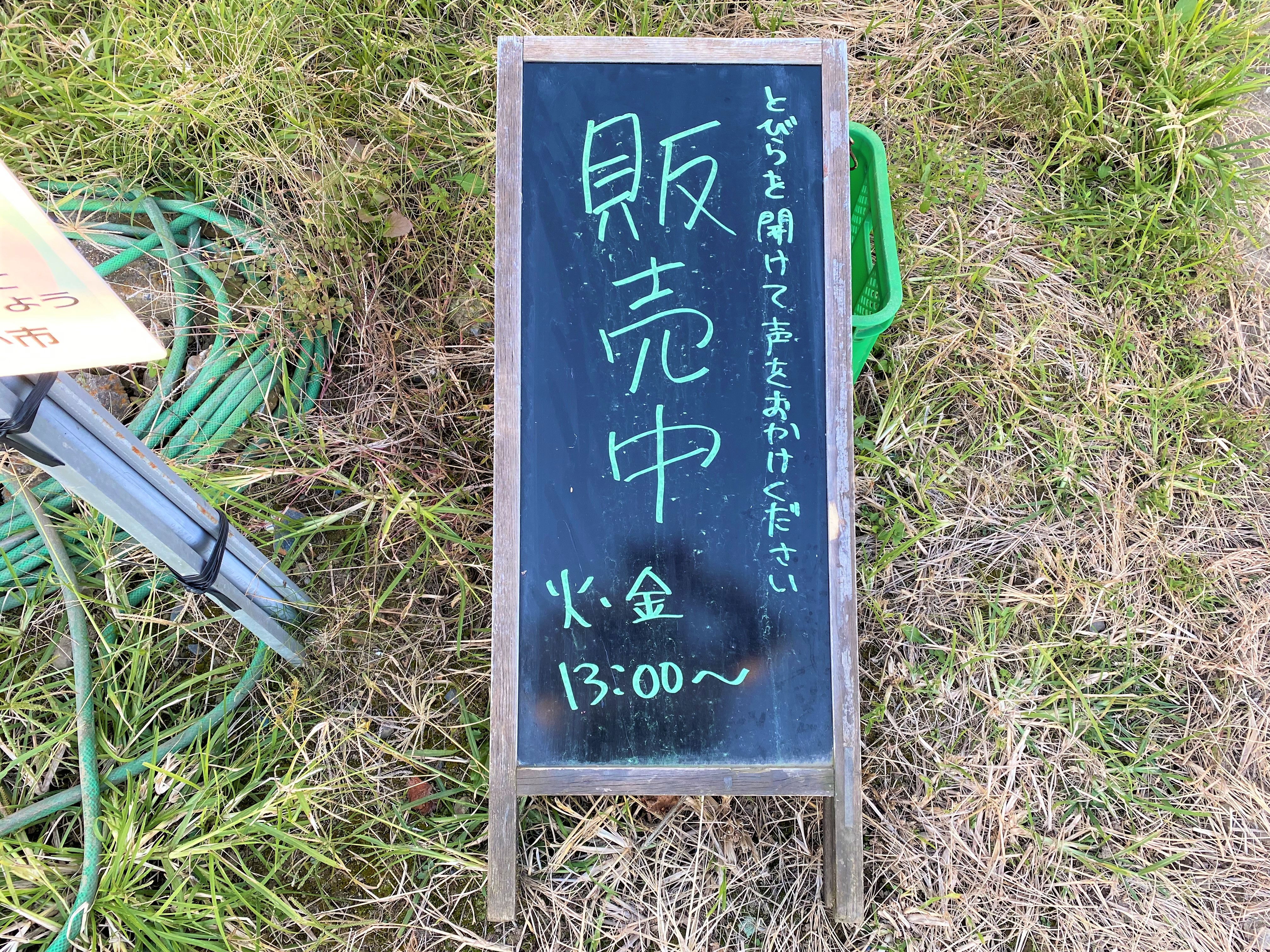 佐野トマト   (3)