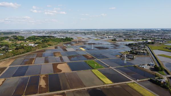 水田上空