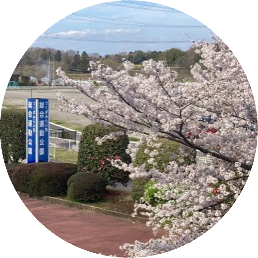 運動公園