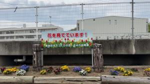 花壇1