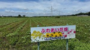 花畑R7-3