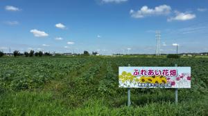花畑R7-6