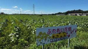 花畑R7-8