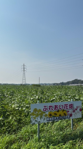 花畑R7-12