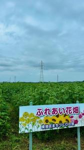 花畑R7-15