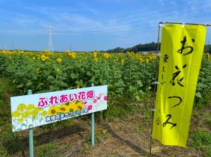 花畑R7-22