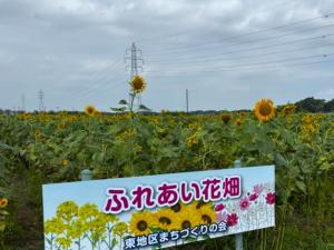 花畑R7-28