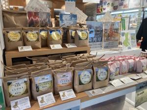 イバラキセンス1