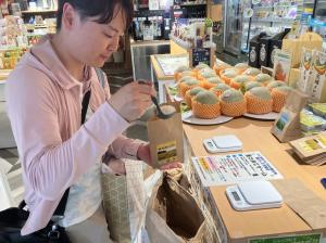 イバラキセンス2