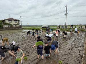 R7田植え