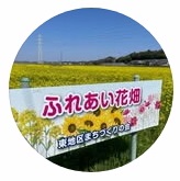 インスタ