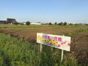 花畑R8-1