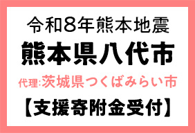 代理寄附(熊本県八代市)
