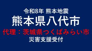 熊本地震代理寄附(ANA)