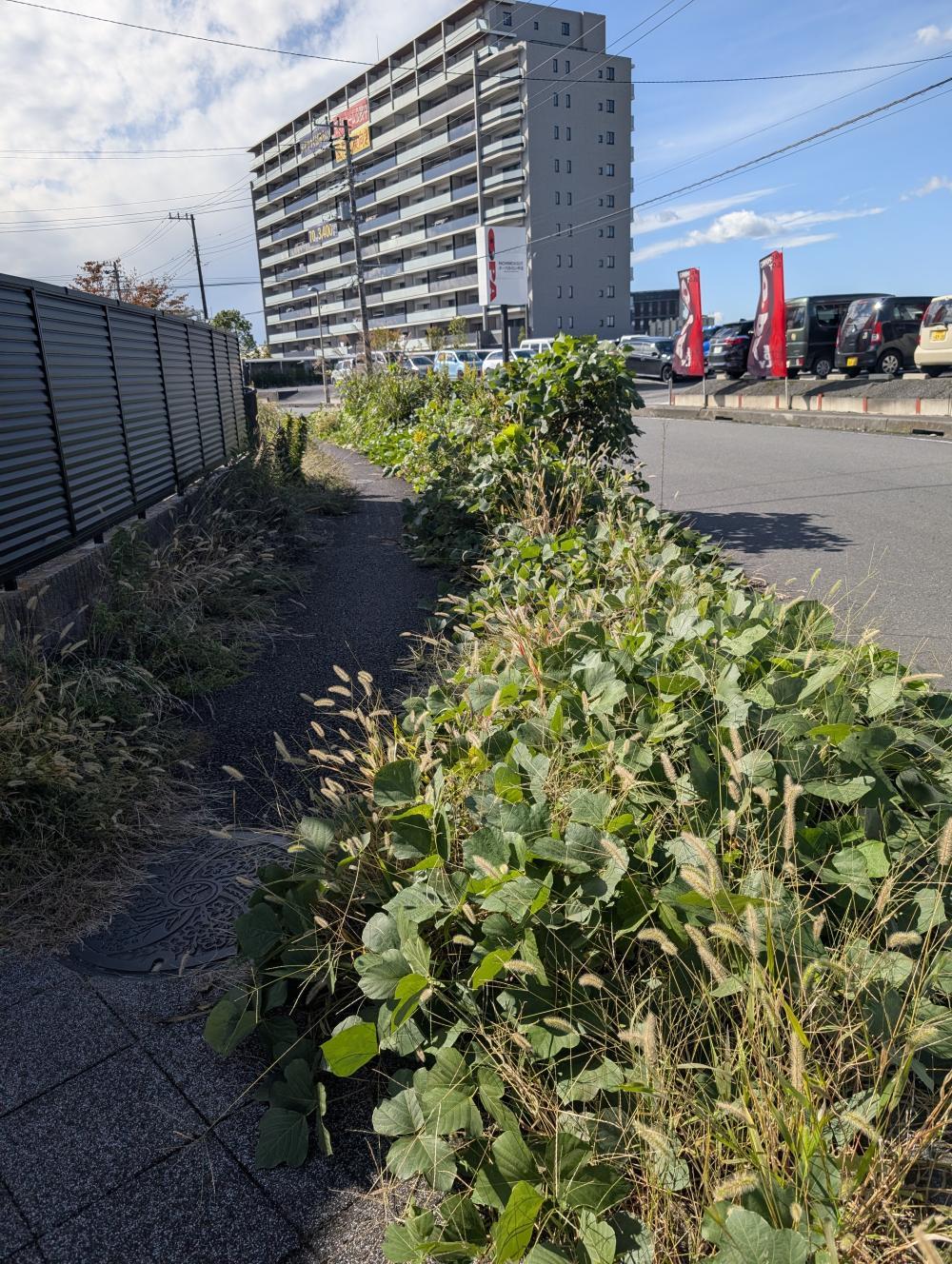 現場の写真1:道路の異常(道路の陥没、側溝の破損など)