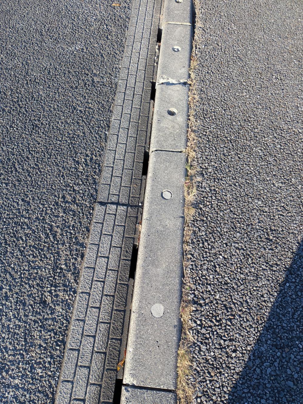 現場の写真1:道路の異常(道路の陥没、側溝の破損など)