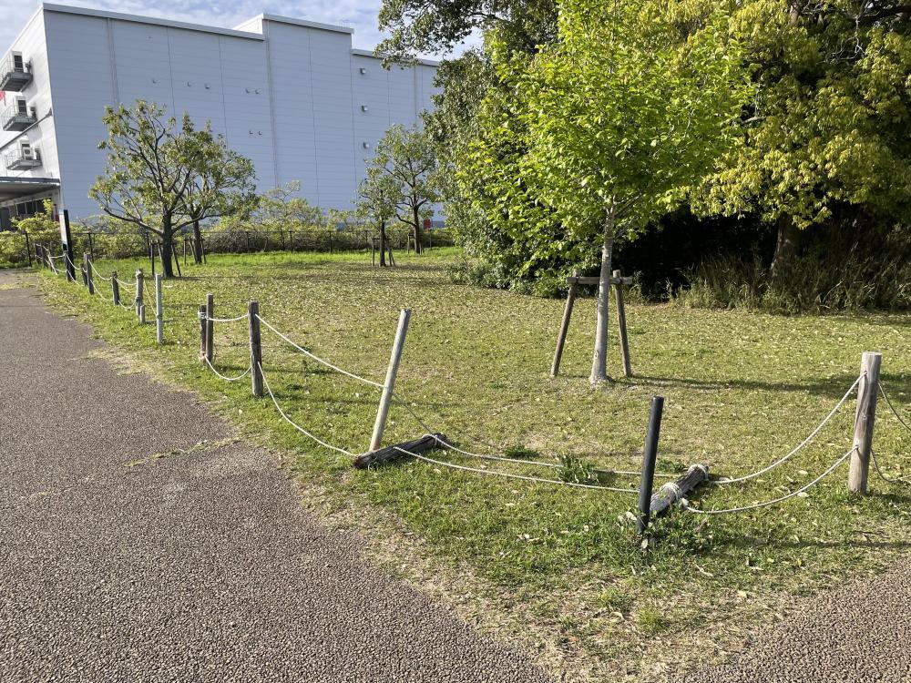 現場の写真1:公園施設の異常(遊具の破損、樹木の過大成長など)