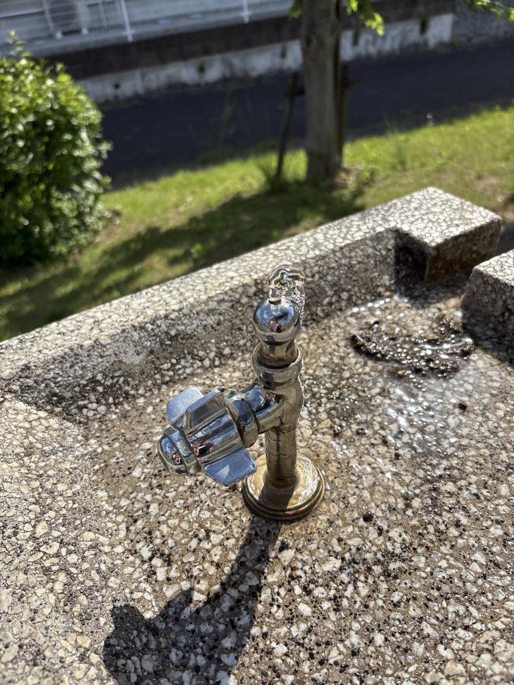 現場の写真1:公園施設の異常(遊具の破損、樹木の過大成長など)