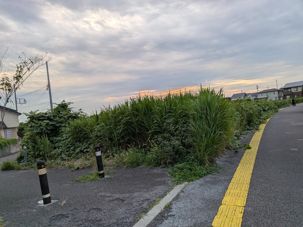 通報時の写真1:道路の異常(道路の陥没、側溝の破損など)