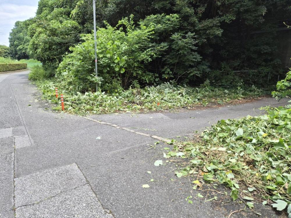 対応後の写真1:道路の異常(道路の陥没、側溝の破損など)