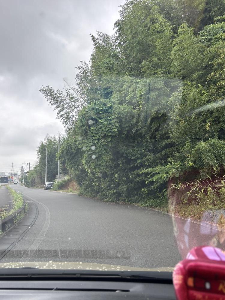 通報時の写真1:道路の異常(道路の陥没、側溝の破損など)