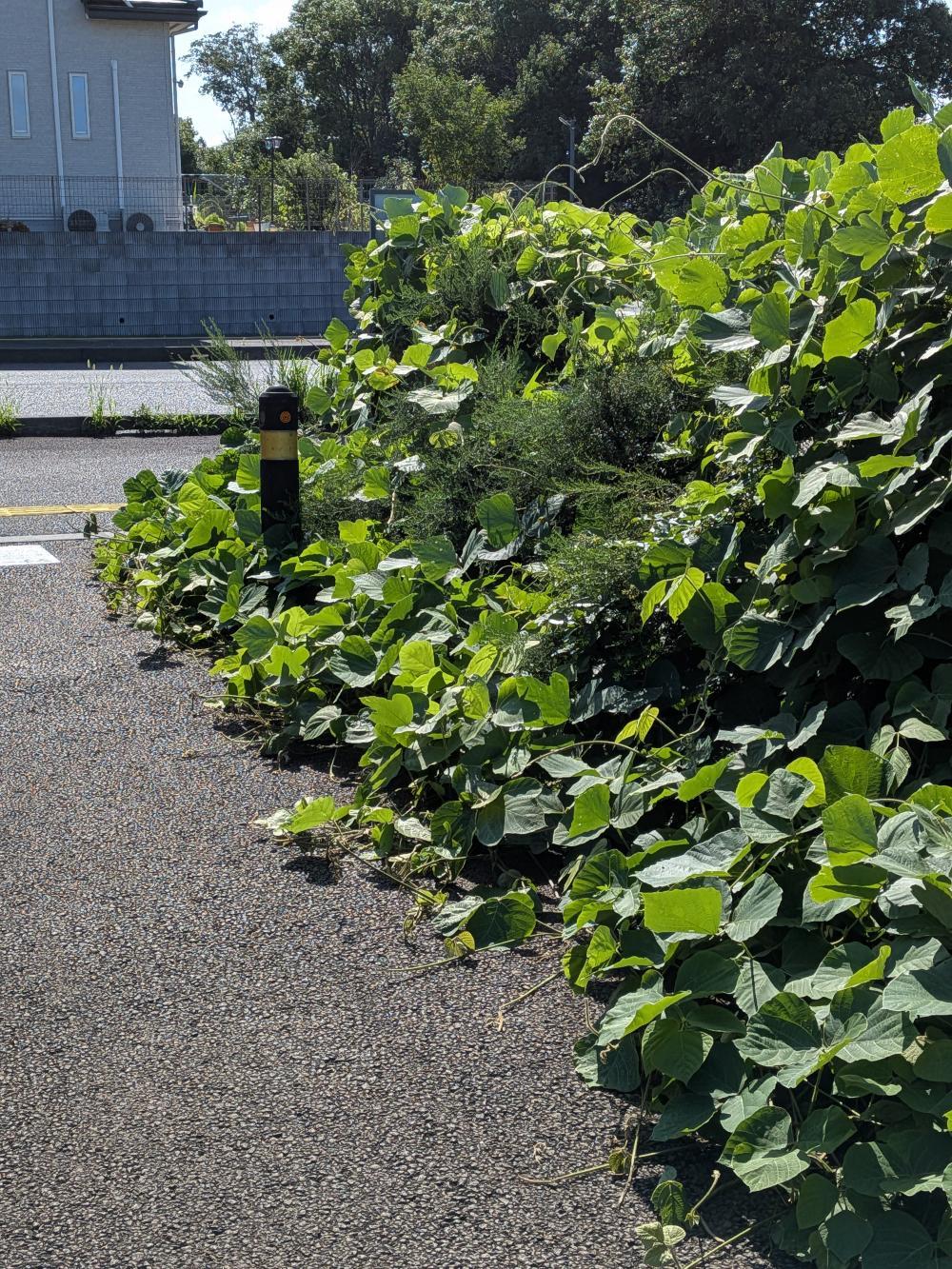 通報時の写真1:道路の異常(道路の陥没、側溝の破損など)