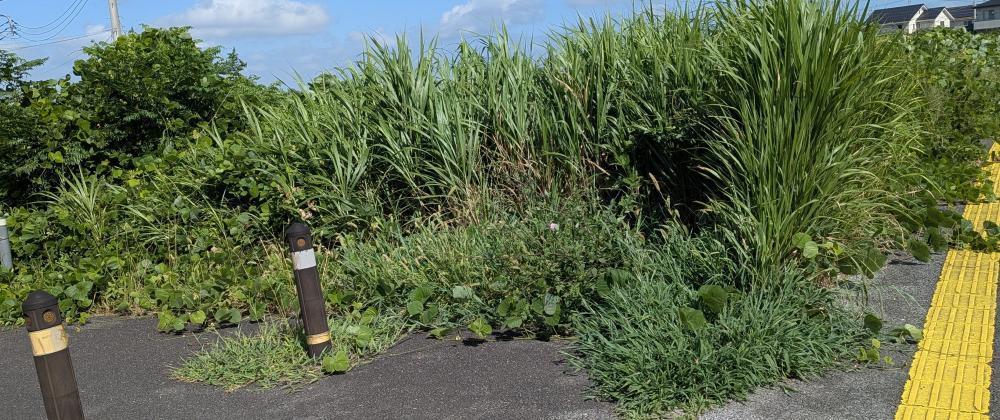 通報時の写真2:道路の異常(道路の陥没、側溝の破損など)