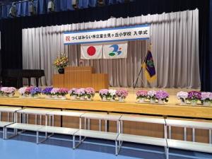 Entrance Ceremony