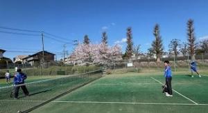 tennis