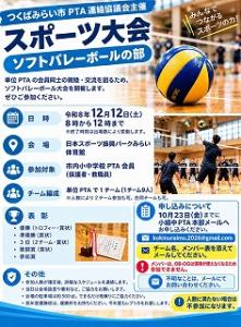ptasoftvalleyball