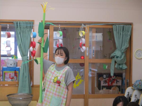 本当のとうもろこしは大人よりも高いんだよ!