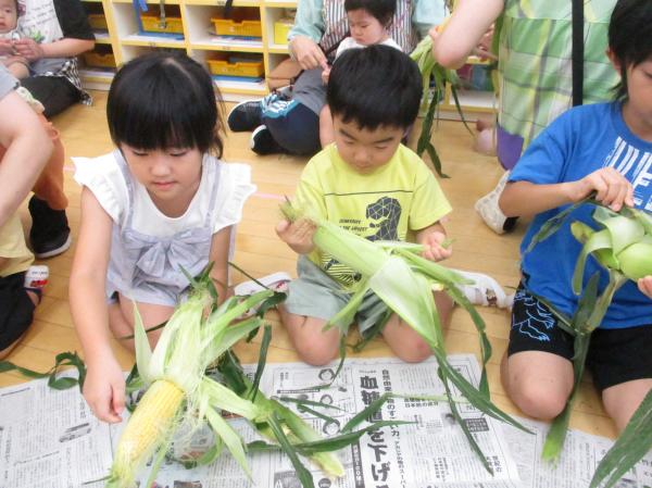 あっ、黄色い実が見えてきたよ〜!