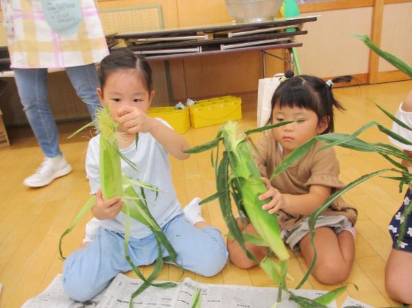 葉っぱがフサフサしてるよ!