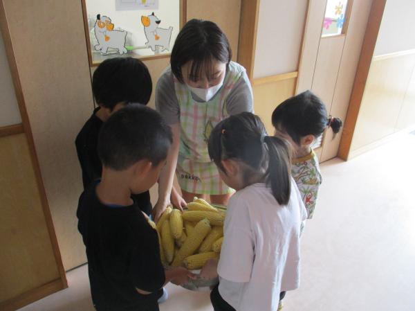 給食先生、お願いします。