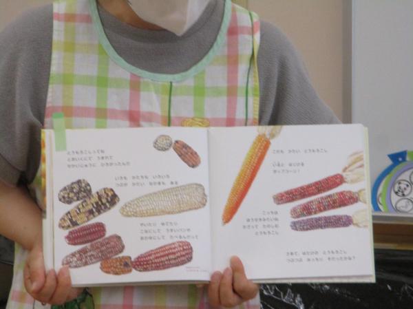 とうもろこしって、こんなに種類が多いんだよ!