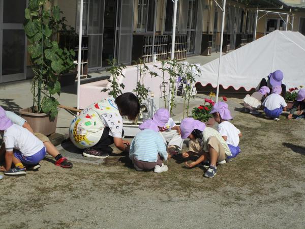 きれいにするぞ!