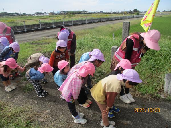 神社にお邪魔します!