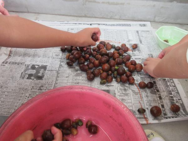 皆で洗ってきれいにするよ✨