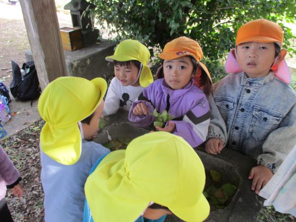 木の実や葉っぱのお店やさんごっこ中🌿