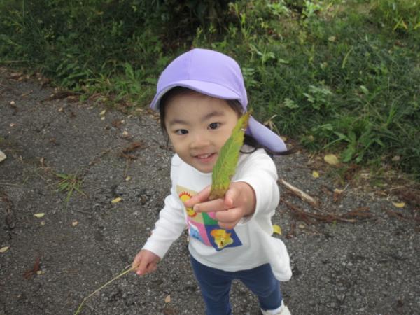 綺麗な葉っぱ見つけたよ🍁