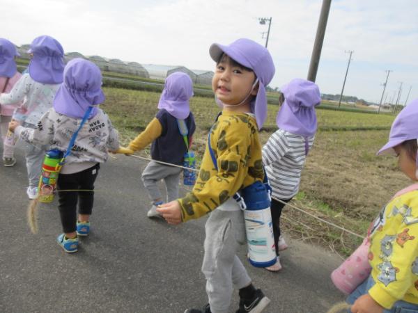 長いねこじゃらし見つけたよ🎵