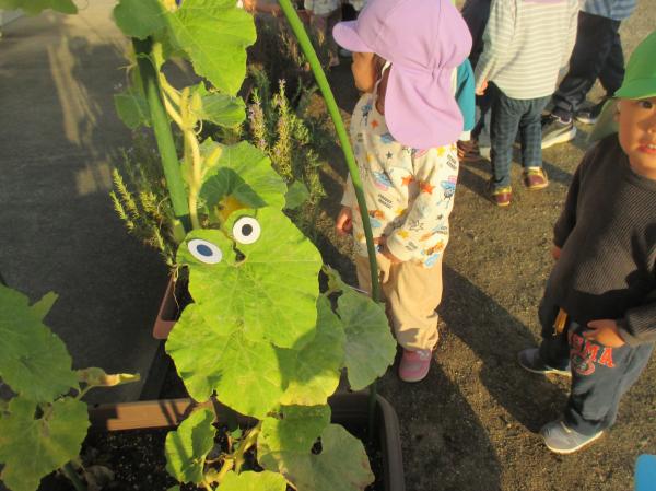 こっちにもいたよ~❗