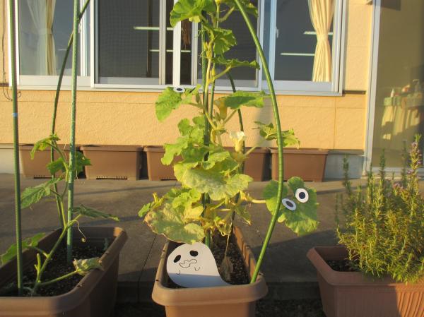 どこに隠れているかな❓