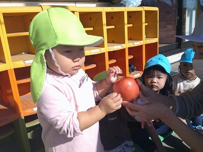 りんごも見せてもらったよ🍎