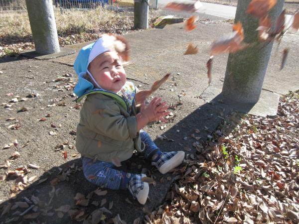 落ち葉が降ってきた!