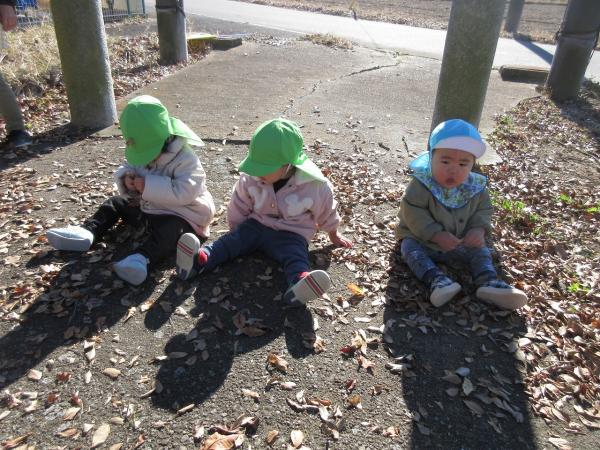 ちょこんと並んで座ってます